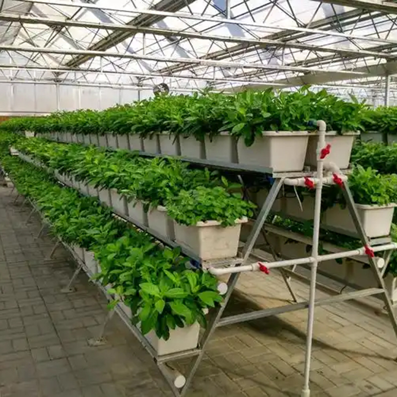 宜春市植物工厂水培蔬菜 - 方案